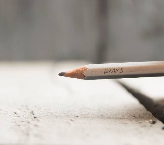 حصص فردية (4 ساعات)