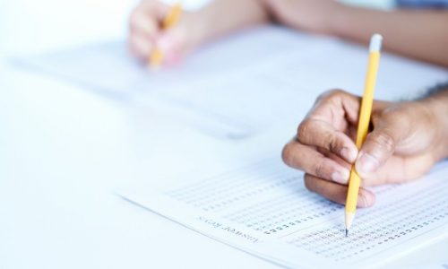 delf-dalf Clase Individual (8 horas)