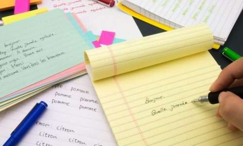 formacion-delf Clase Individual (12 horas)