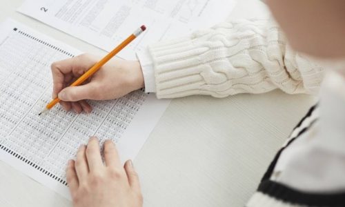 preparacion-examenes-dalf DELF/DALF (2 horas / día)