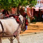 Feria de Abril 2022
